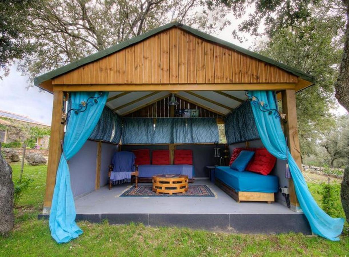 Studio Confortable Avec Vue Sur La Montagne A Moltifao 30M² Jardin Exterior photo