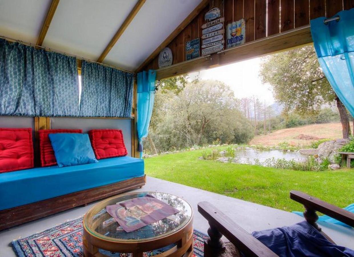 Studio Confortable Avec Vue Sur La Montagne A Moltifao 30M² Jardin Exterior photo