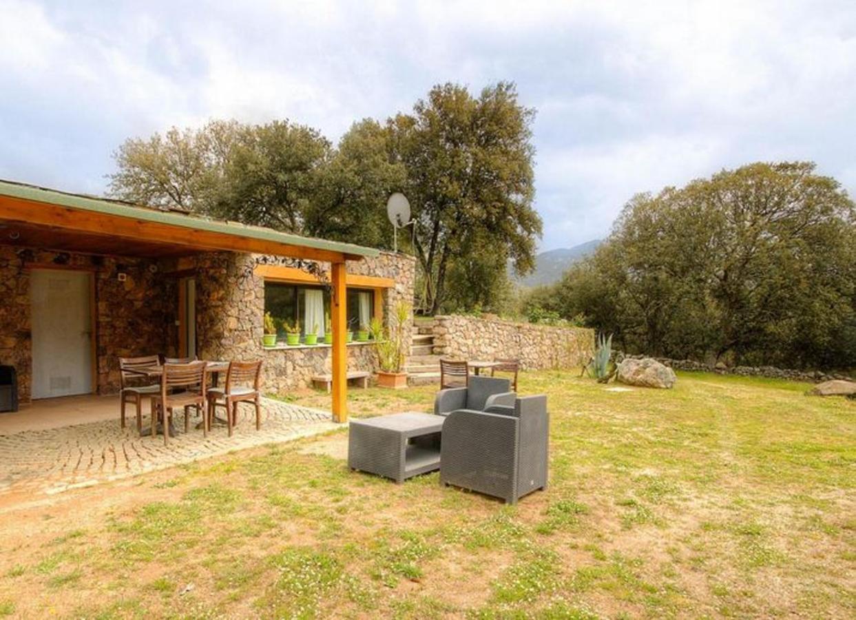 Studio Confortable Avec Vue Sur La Montagne A Moltifao 30M² Jardin Exterior photo